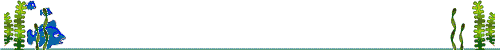 fishbarani.gif (35374 bytes)