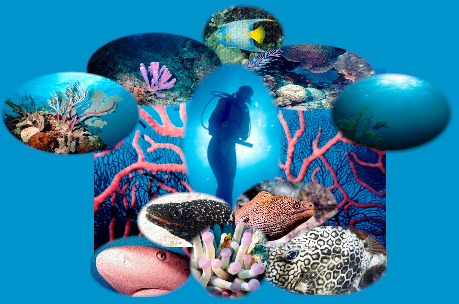 CLICK HERE to continue the Adventure...