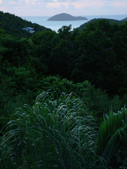 Another view from condo.  An uninhabited island.