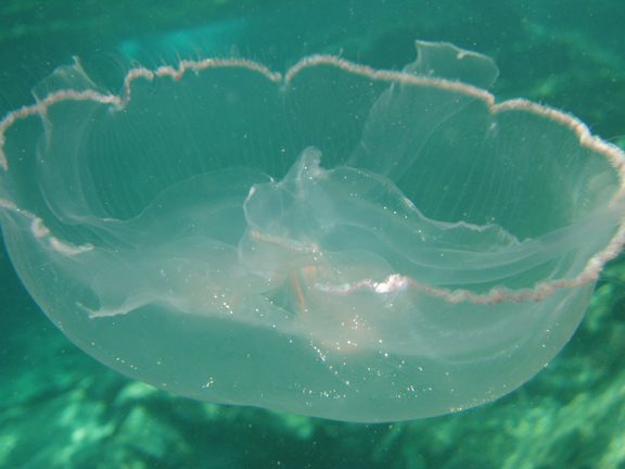 Don't get too close to this!