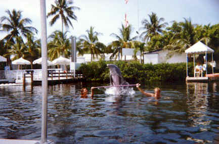 flky9403.jpg (52107 bytes)