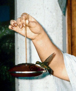 hndrs7.jpg (28496 bytes)