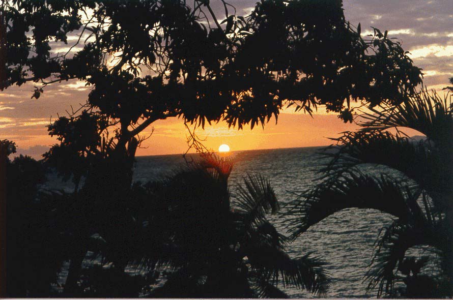 hndrs10.jpg (90286 bytes)