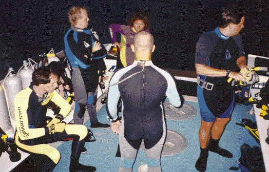 cymn9504.jpg (98264 bytes)