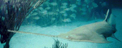 x9604.jpg (19177 bytes)