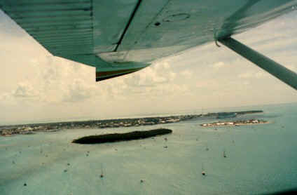 fk9708.jpg (26759 bytes)