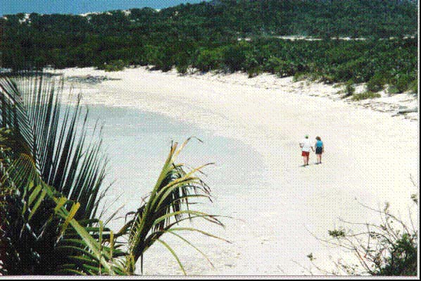 emptybeaches.jpg (89750 bytes)