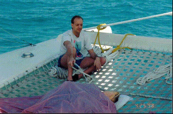 turtle2.jpg (85609 bytes)