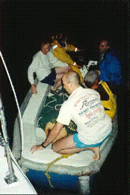 Releasing the Turtle