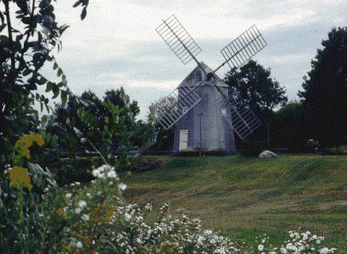 capcd01.jpg (103860 bytes)