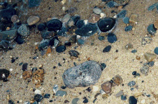 capcd03.jpg (104661 bytes)