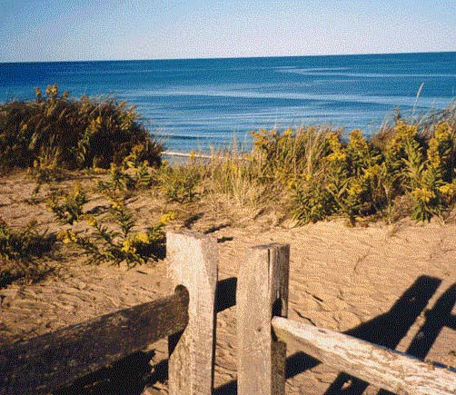 capcd06.jpg (128320 bytes)