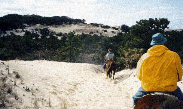 capcd07.jpg (120080 bytes)