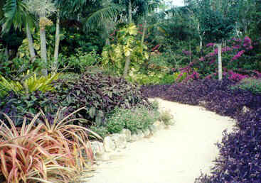 gdc32jpg.jpg (51815 bytes)