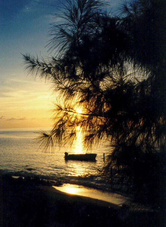 lc101.jpg (115742 bytes)