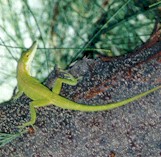 You can run, but you can't hide