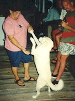 Mary and Lappy dancing