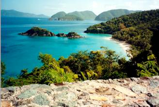 tj100008.jpg (18183 bytes)