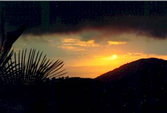 tj100010.jpg (8814 bytes)